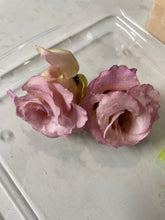 Charger l'image dans la galerie, Fleurs préservées de lisianthus
