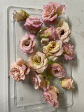 Charger l'image dans la galerie, Fleurs préservées de lisianthus
