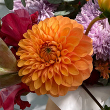 Charger l&#39;image dans la galerie, Bulbe de dahlia
